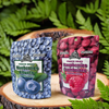 Sta sursum Pouch