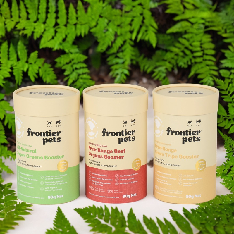 Charta products